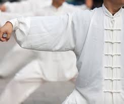 I Grandi Maestri di Taijiquan