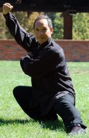 Wong Wai Yi (Tony) - Maestro Taijiquan - Stile Chen