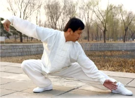 Yang Jun - Maestro Taijiquan - Stile Yang